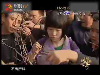 堂火影忍者本子