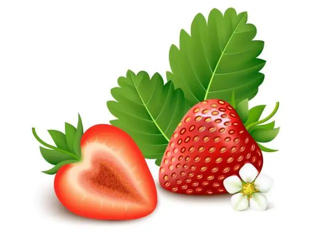 樱桃黄软件 黄软因此无法提供详细信息