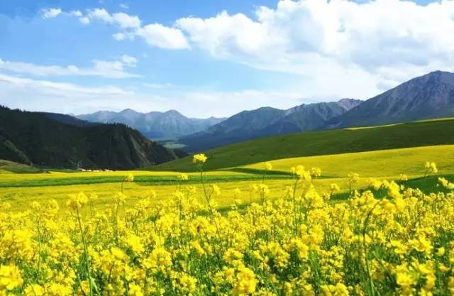 福利 无码 三级 视频