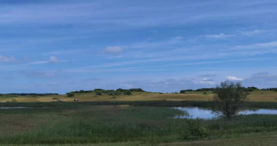 福利 无码 三级 视频 无码视频的福利出现