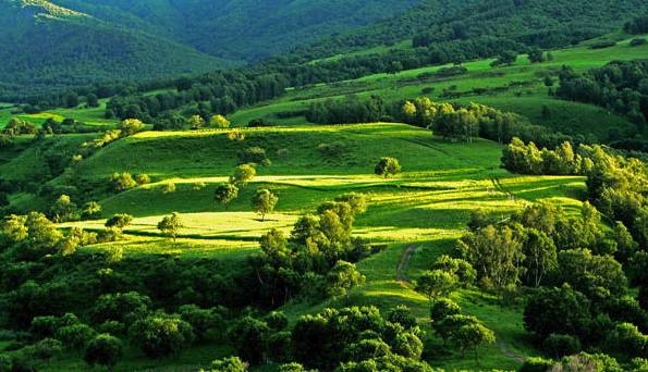 福利 无码 三级 视频 无码视频的福利出现