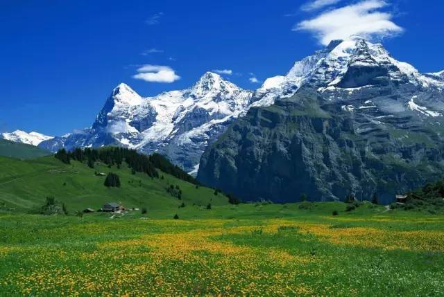 啄木鸟系列 监狱