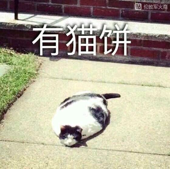 51吃瓜网爆155fun黑料吃瓜911--反差大赛-每日大赛黑料不打烊每日大赛 与专业娱乐媒体存在差距