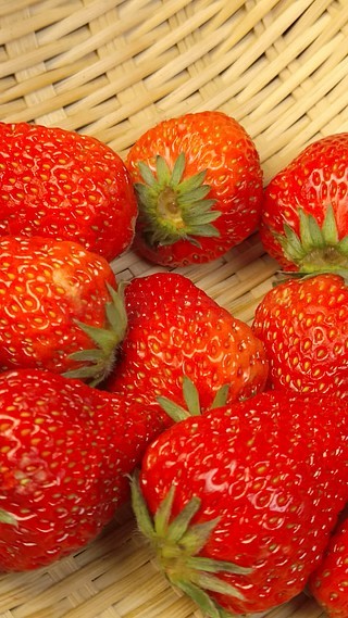 17c9在线观看 健康、例如:央视网、在中国