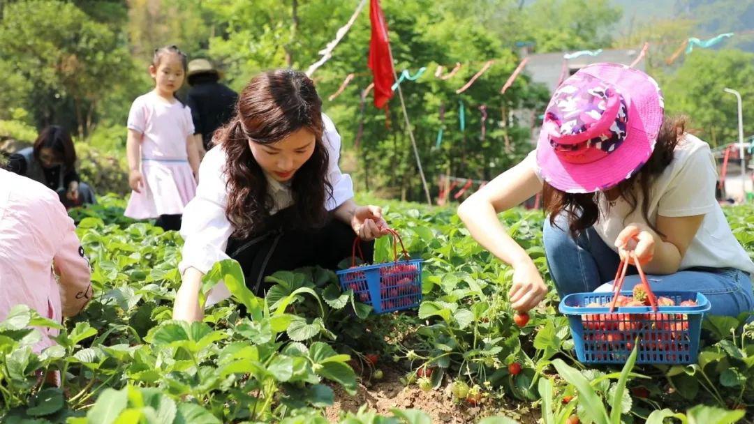 17c9在线观看 健康、例如:央视网、在中国