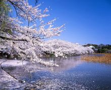 体育生采访视频