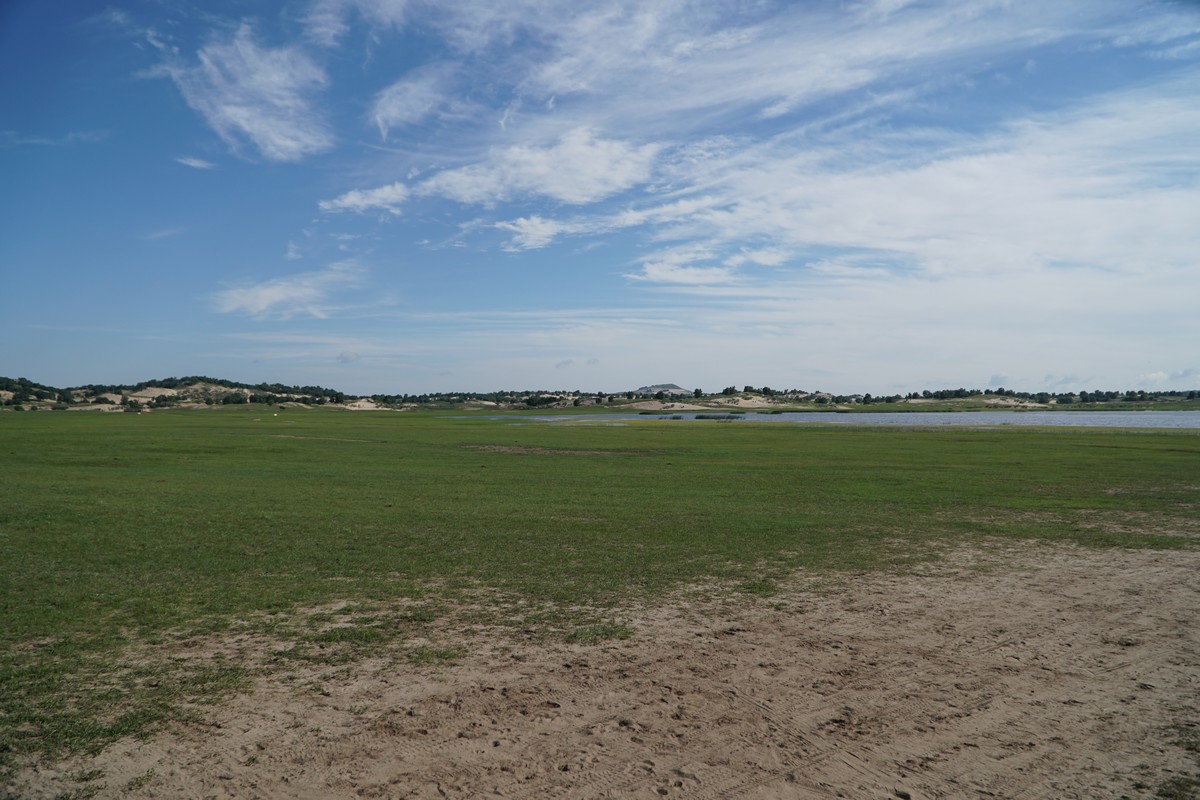 久久久久精品免费播放