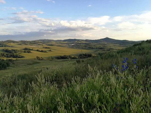 久久久久精品免费播放 免费我们可以看一个案例分析