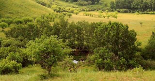 mrds14.fun 强调碎片化时间的轻松填充
