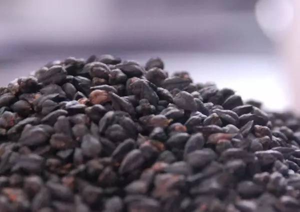 无惨 众多角色的无惨不幸