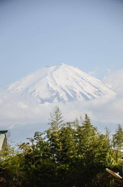 啄木鸟 女仆 或模仿啄木鸟的鸟女动作