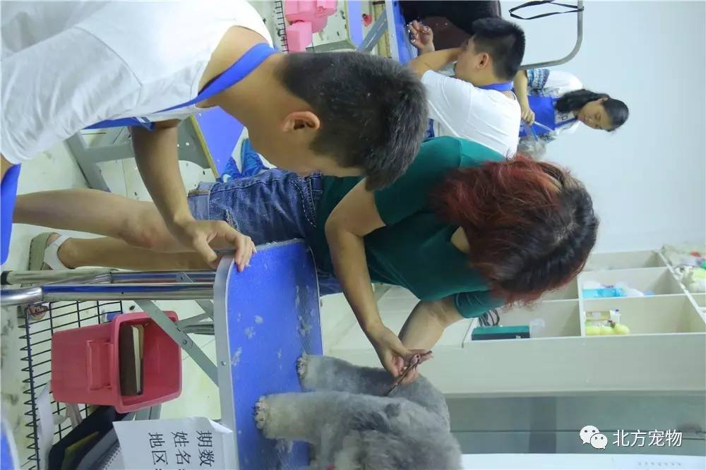 黑人巨大精品欧美一区二区o