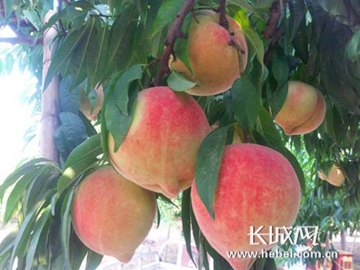 上海信美晟智能科技有限公司 招标