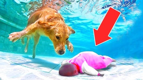 亚洲国产精品无码中文LV