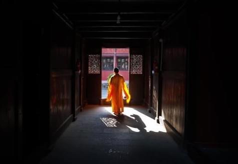 花生吃瓜网站 花生显著提升了“吃瓜”效率