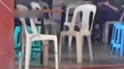 搡女人真爽免费视频网站