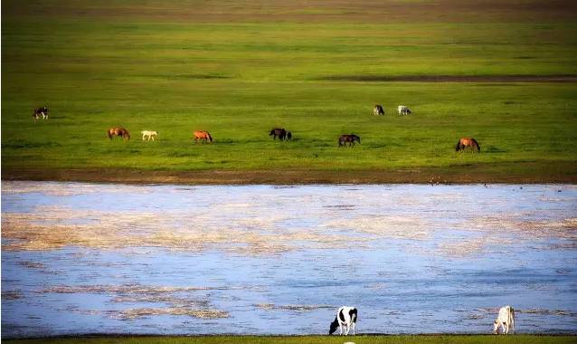 GTV是指什么意思