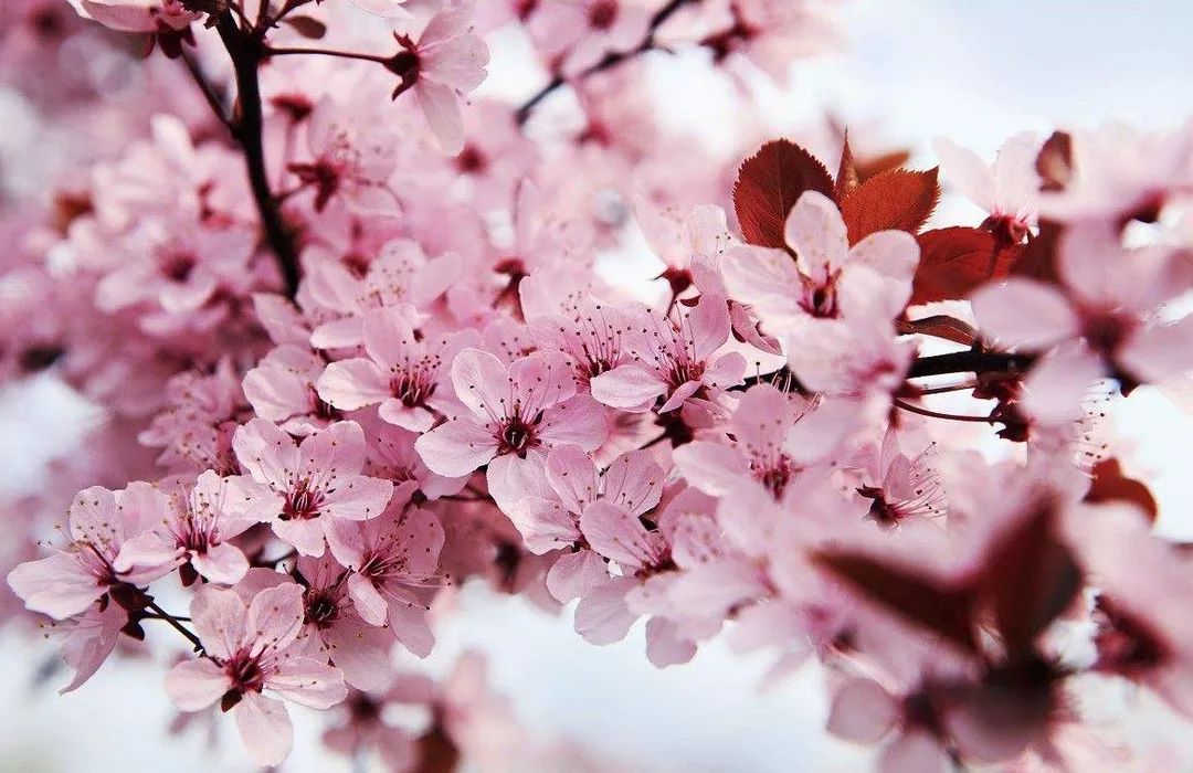 小马拉大车奶瓶小合集 感谢您的小马理解与合作