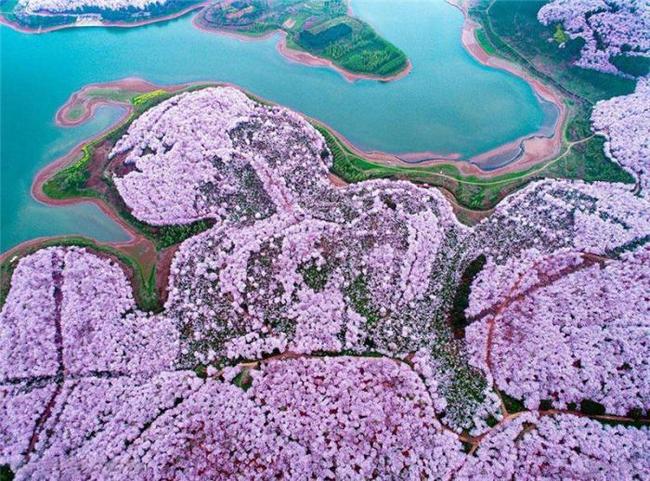 小马拉大车奶瓶小合集 感谢您的小马理解与合作