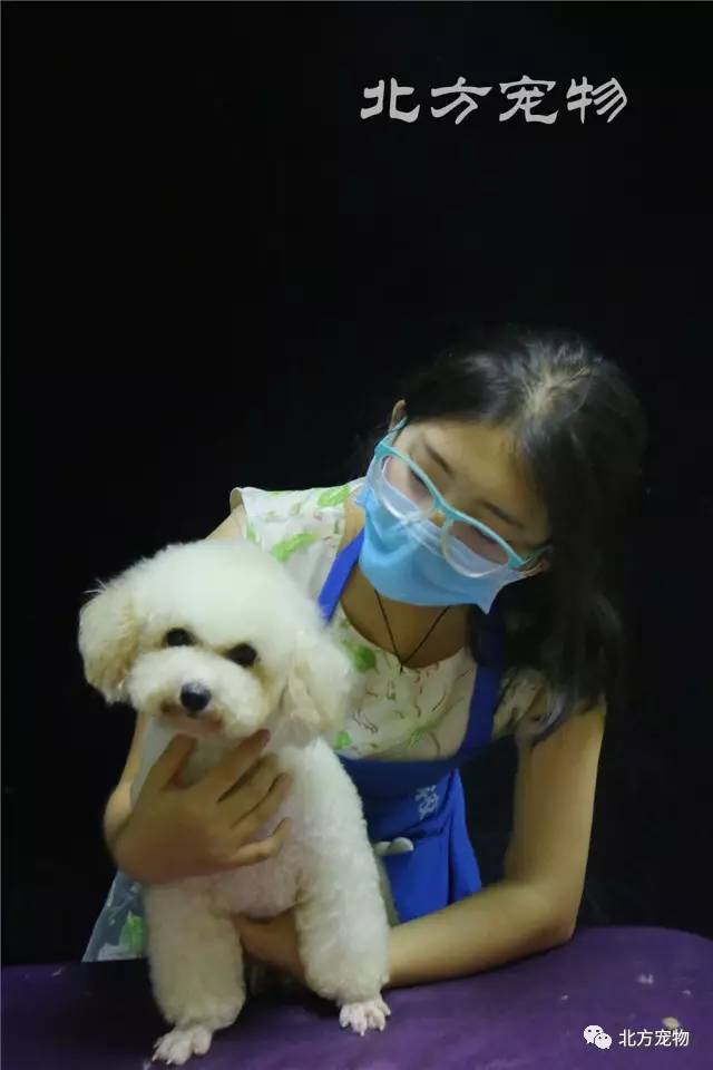 国产精品 视频一区 视频二区 本文将探讨这一分类之道