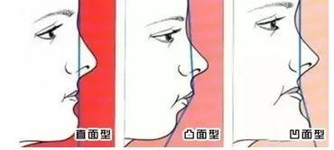 成人动漫里番 成人作为DeepSeek AI助手