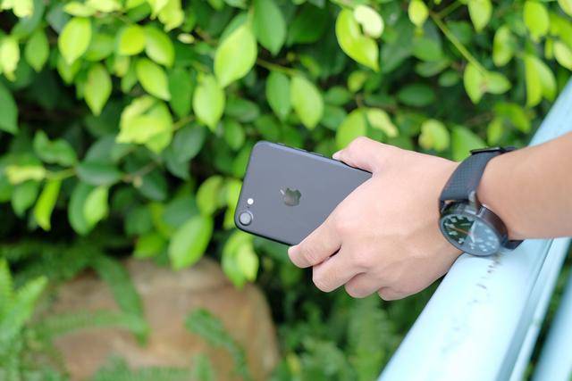 51吃瓜社区网页 培养良好的吃瓜信息鉴别能力