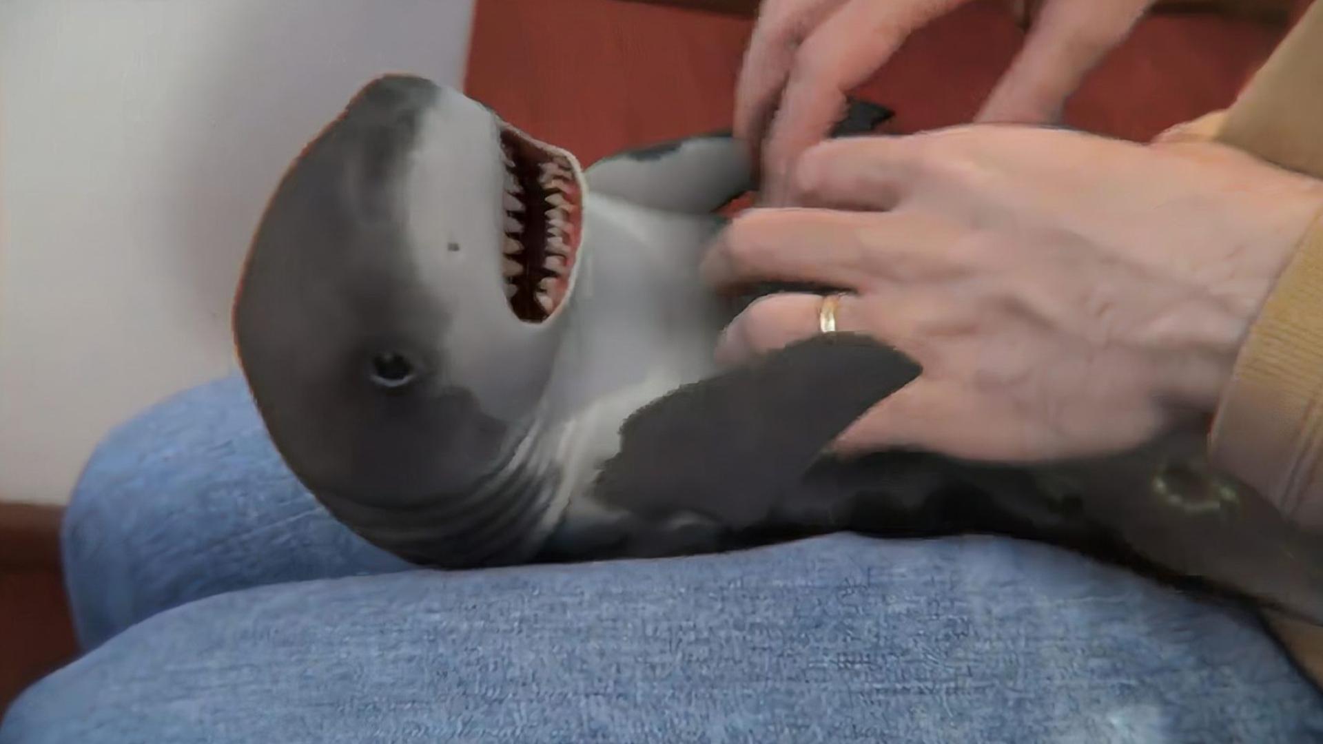 尤妮丝 视频 剧情混剪或表情包合集