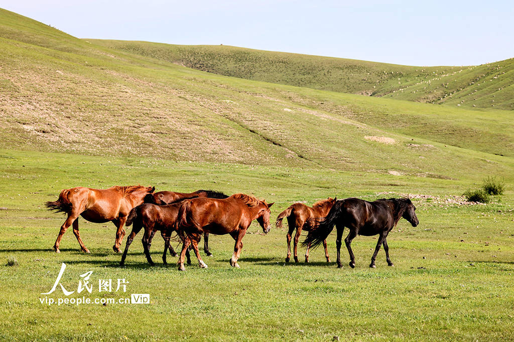 男同上床 避免压力:不强迫对方