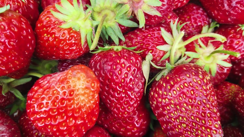 无限臀山⛰️ 游戏或社交媒体的无限搞笑梗