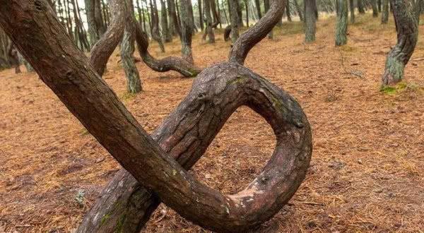 视频在a 视频告诉我更多信息