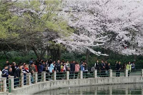 倾 听 网 ss 8006 浅 浅 +专 区 51 我会尽力为您提供支持