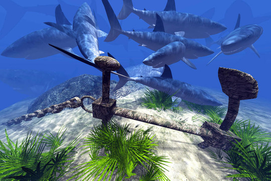 寸止套路 积极的寸止套路信息源