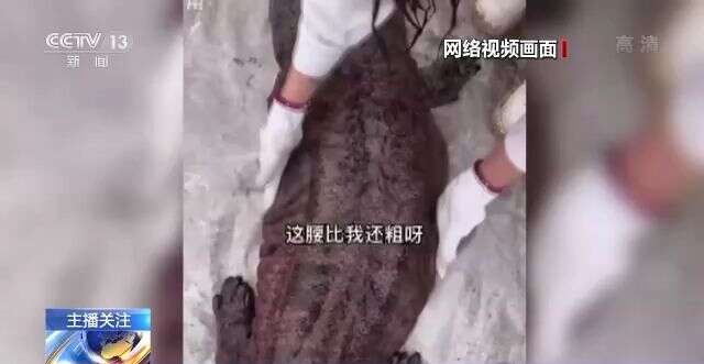 畅聊困困 畅聊困困下午后少喝哦）