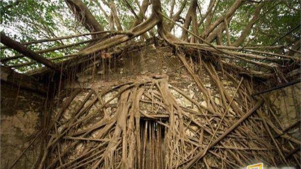 男生和女生交配的视频