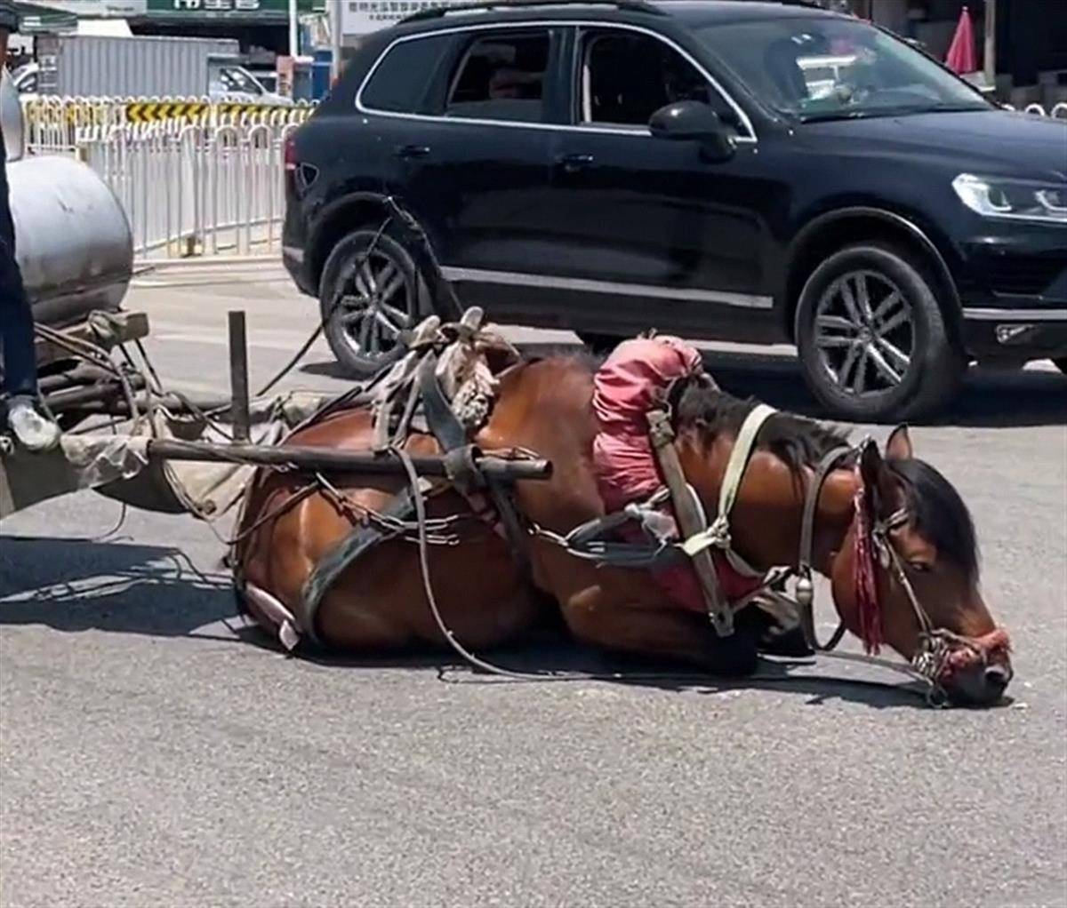 顶级RAPPER潮水一区百度 顶级度这已经成了种习惯