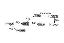 国产一区二区精品久 