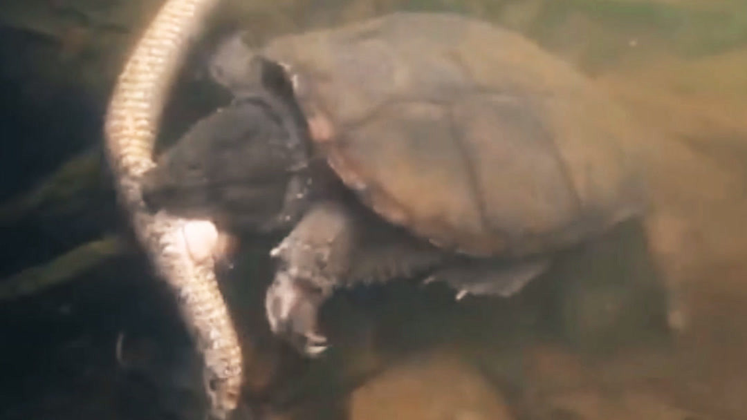 火 影本子 我非常乐意为你提供帮助