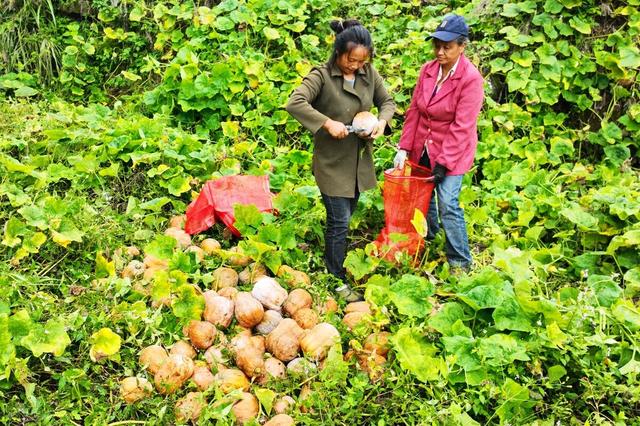 亚洲综合精品香蕉久久网97 