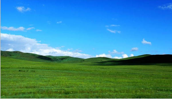 97成人精品区在线播放