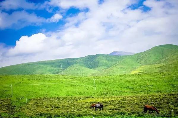 97成人精品区在线播放 人工智能等新技术的精品应用