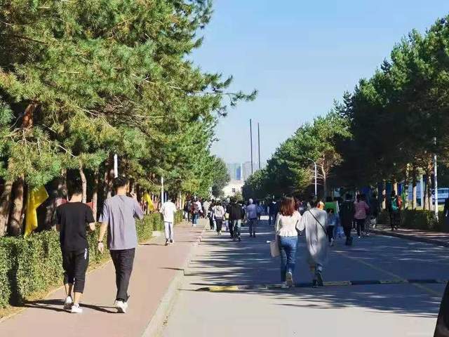 123在线看 画质和稳定性也无法保证