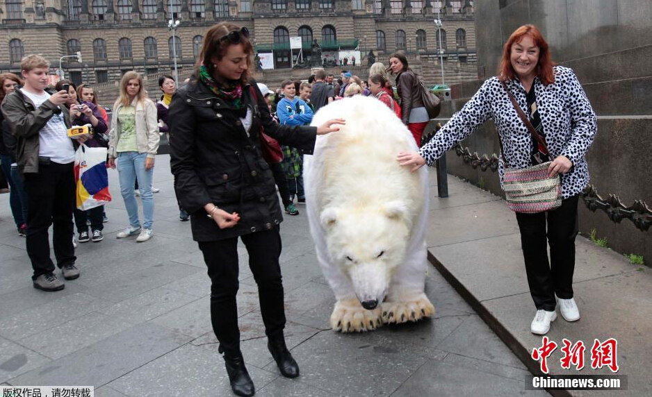 ai影视在线观看