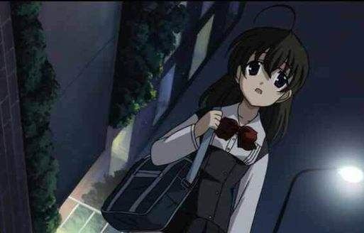 菠萝蜜官网进口线路一