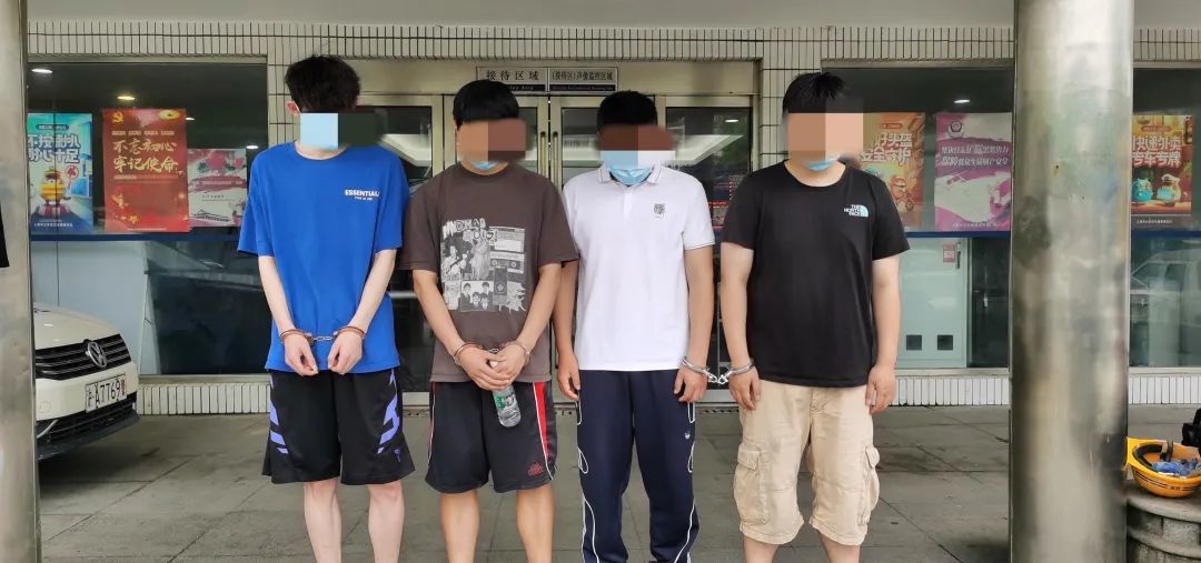 主播视频官方入口