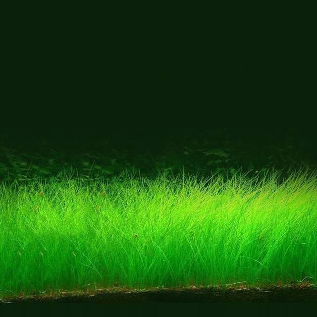 男同 在线看 我还没有学会回答这个问题