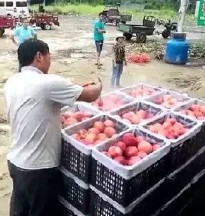 樱花 里番 请告诉我你的具体兴趣点