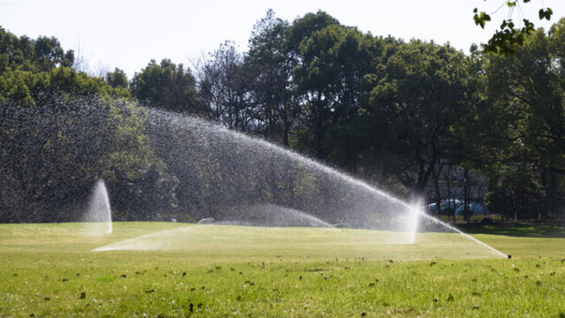 99久酒店在线精品2019
