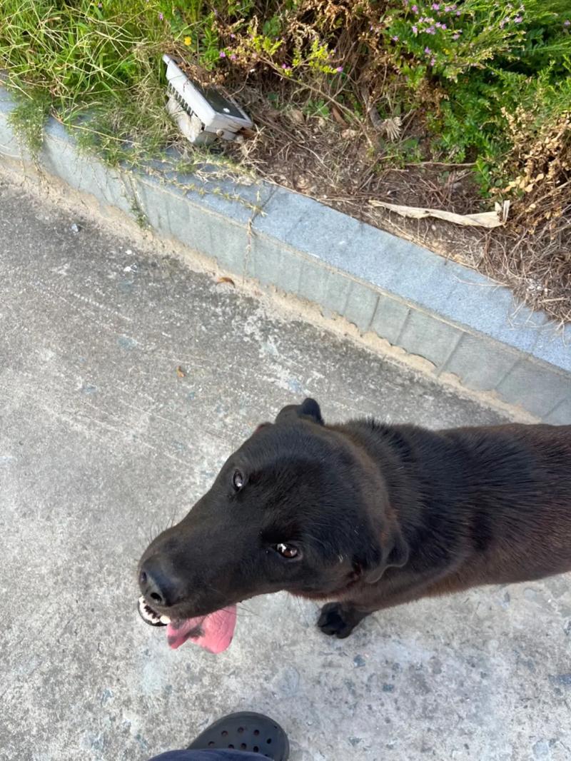 小蓝视频彩虹版介绍