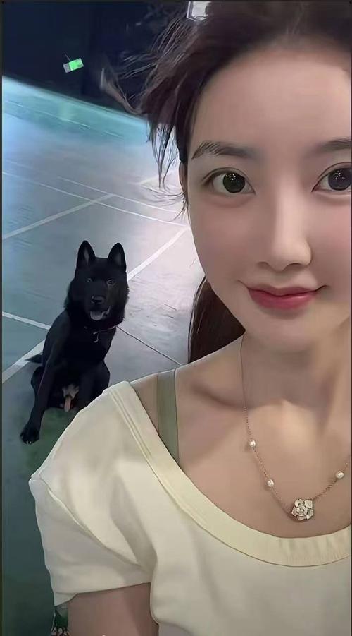 小蓝视频彩虹版介绍 视频绍不过部分用户反映