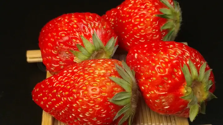 2026年三月里番播放